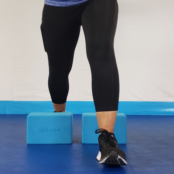 PWR600Jennsteppingoveryogablocks1 PWR600Jennsteppingoveryogablocks1
